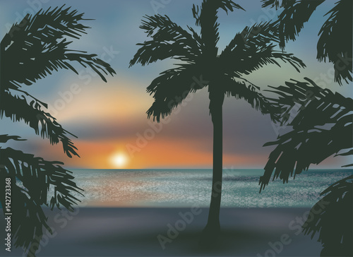 Beautiful southern sunset sea, vector illustration