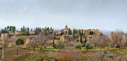 view of Alhambra, Granada, Spain