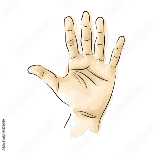 graphic design editable for your design, hand drawn hands (palms) isolated on white background. Vector Illustration.