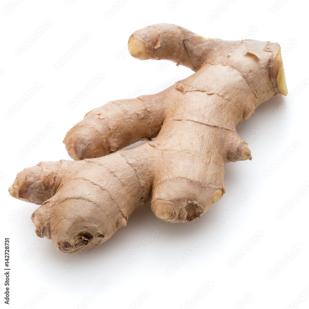 Fresh ginger root or rhizome isolated on white background cutout Fresh ginger root or rhizome isolated on white background cutout