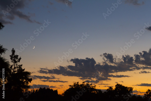 View of trees silhouettes at sunset with clouds and the moon