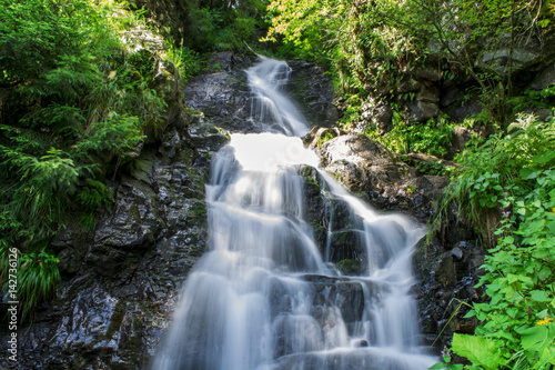 Waterfall on mountain river in Carpathian Mountains , Romania