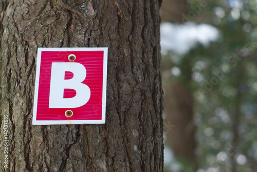 wood path sign letter b forest graphic typography