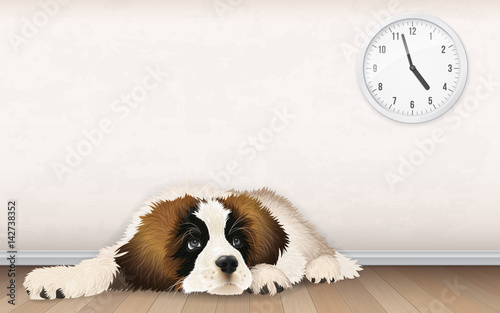 A sweet fluffy puppy is waiting for the owner to come home from work. A bored dog lies on a wooden floor.