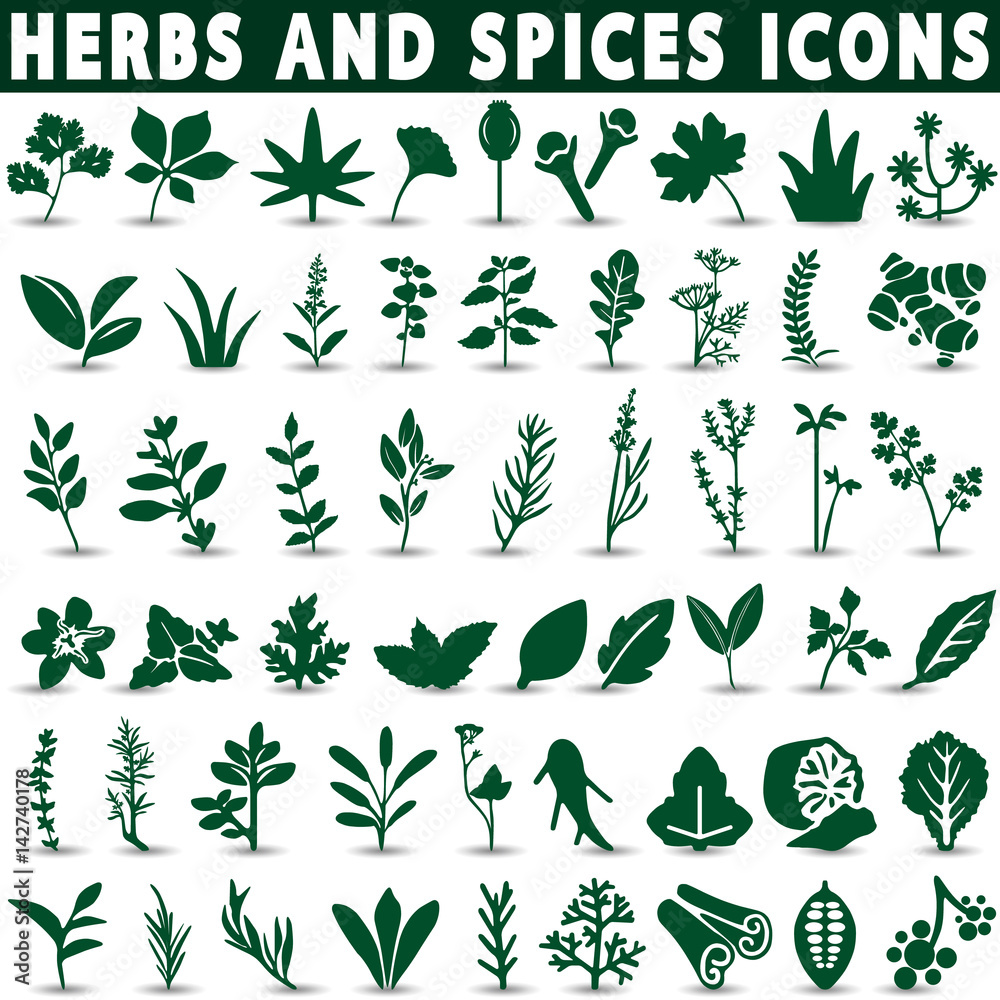 Herbs and spices icons Herbs and spices icons