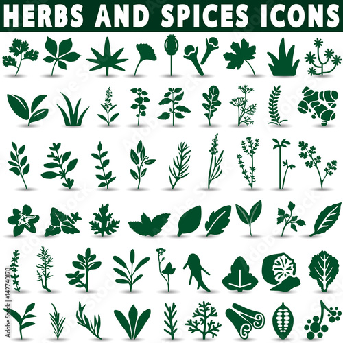 Herbs and spices icons