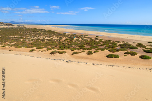 Sand dune on Sotavento beach on Jandia peninsula, Fuerteventura, Canary Islands, Spain © pkazmierczak