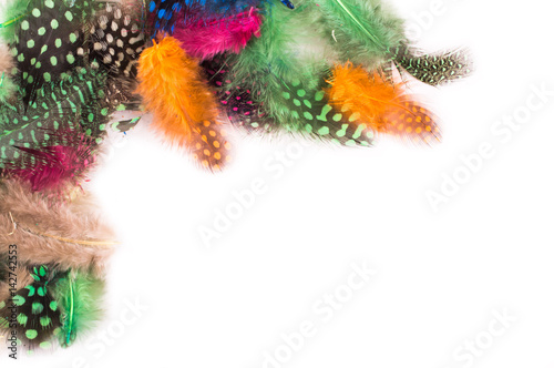 Colored feathers on white background © redfox331