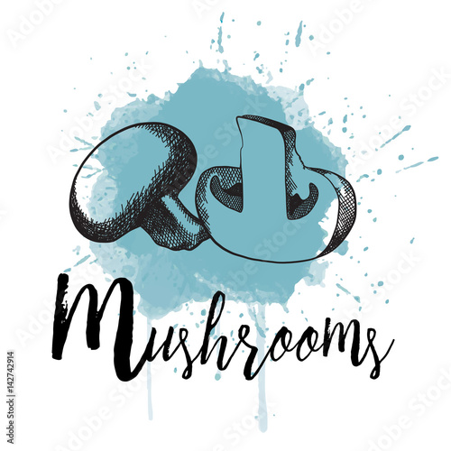 Vector illustration of mushrooms in hand drawn graphics depicted on a blue background