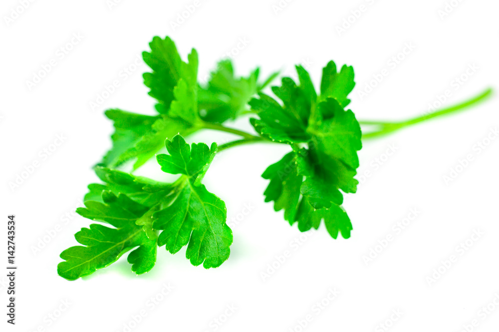 Fresh green parsley isolated on white background, food ingredient Fresh green parsley isolated on white background, food ingredient