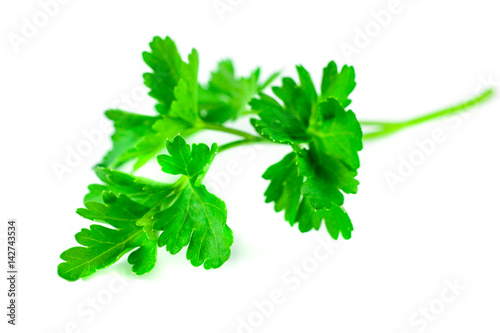 Fresh green parsley isolated on white background, food ingredient