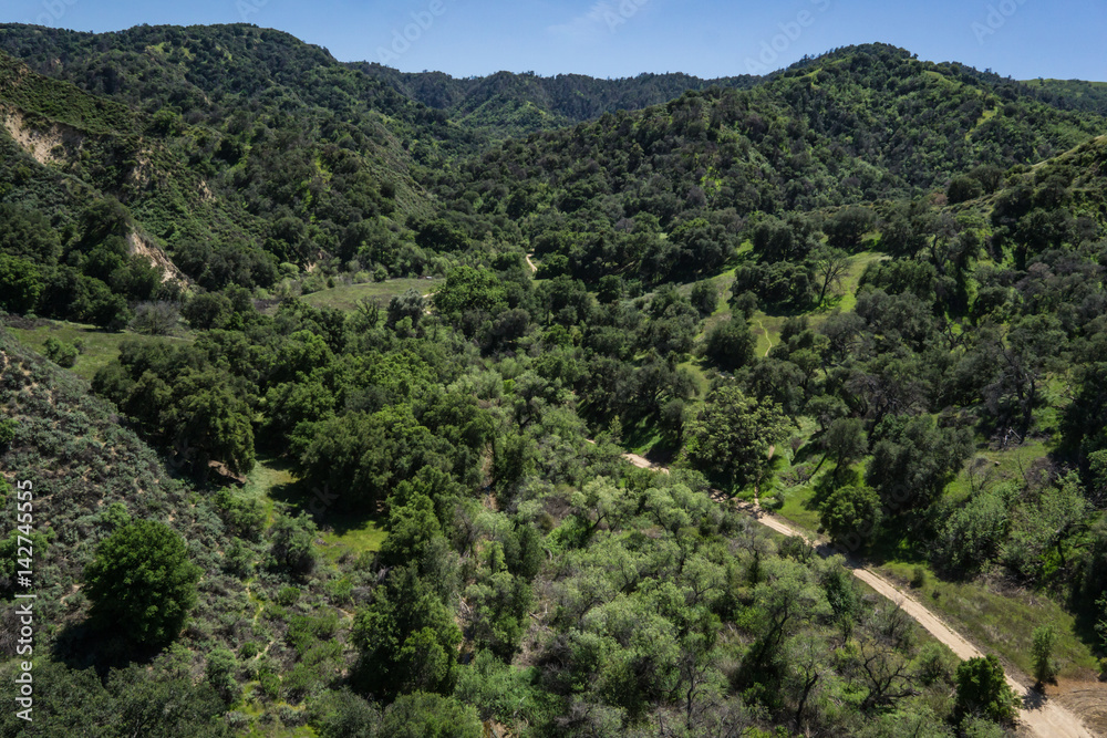 Single dirt path winds into the green forested hills of southern California.