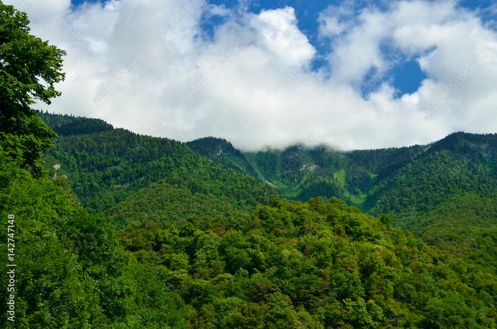 Caucasian green mountains