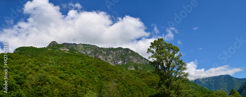 Caucasus green mountains landscape