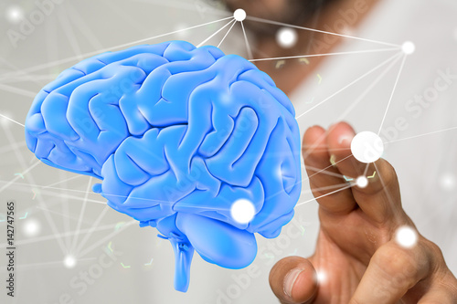 brain