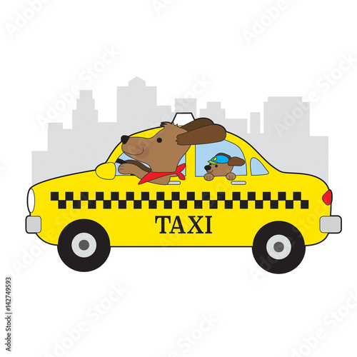New York Taxi Dog