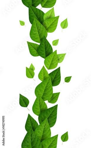 Vertical border with green leaves