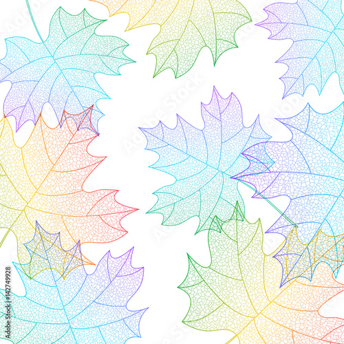 Background with maple leaves macro texture