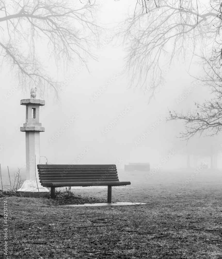 Park bench in winter fog
