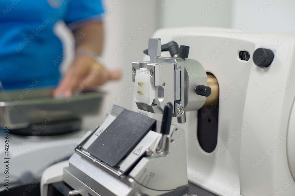 Rotary Microtome Section for diagnosis in pathology (Soft focus)