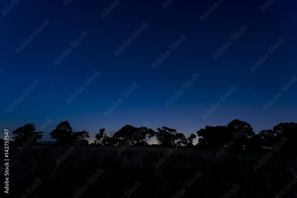 Stars in Night Sky