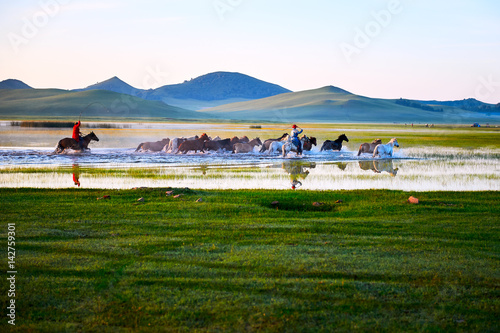 Cuadro en lienzo The horses on the prairie.