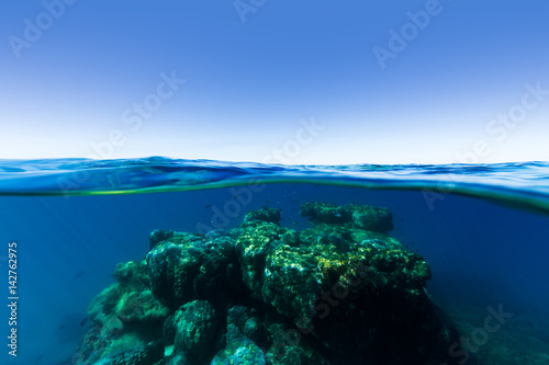 Fototapeta Naklejka Na Ścianę i Meble -  An under over split shot of a coral reef rising out of deep, clear blue water on a sunny day on the Great Barrier Reef.