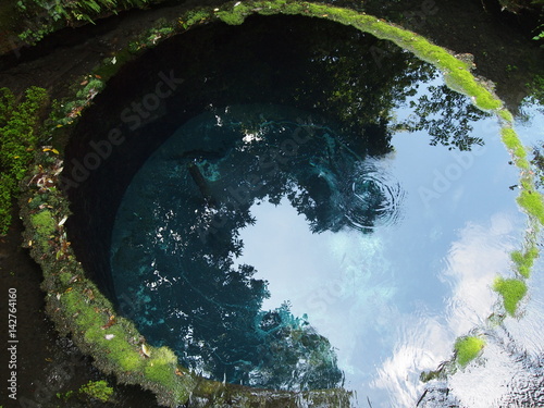 柿田川　湧水