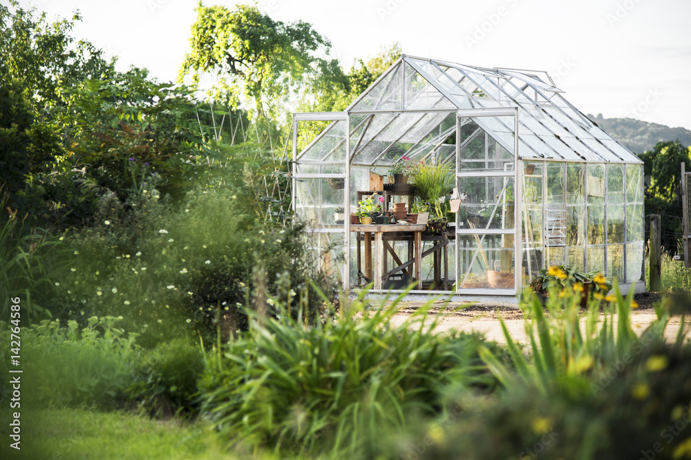 Gardening Cultivate Growth Seedling Plants Concept Gardening Cultivate Growth Seedling Plants Concept