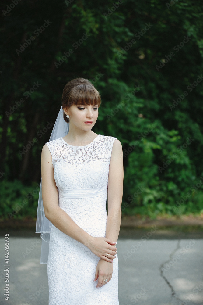 Beautiful bride with fashion wedding hairstyle. Closeup portrait of young gorgeous bride. Beautiful bride with fashion wedding hairstyle. Closeup portrait of young gorgeous bride.
