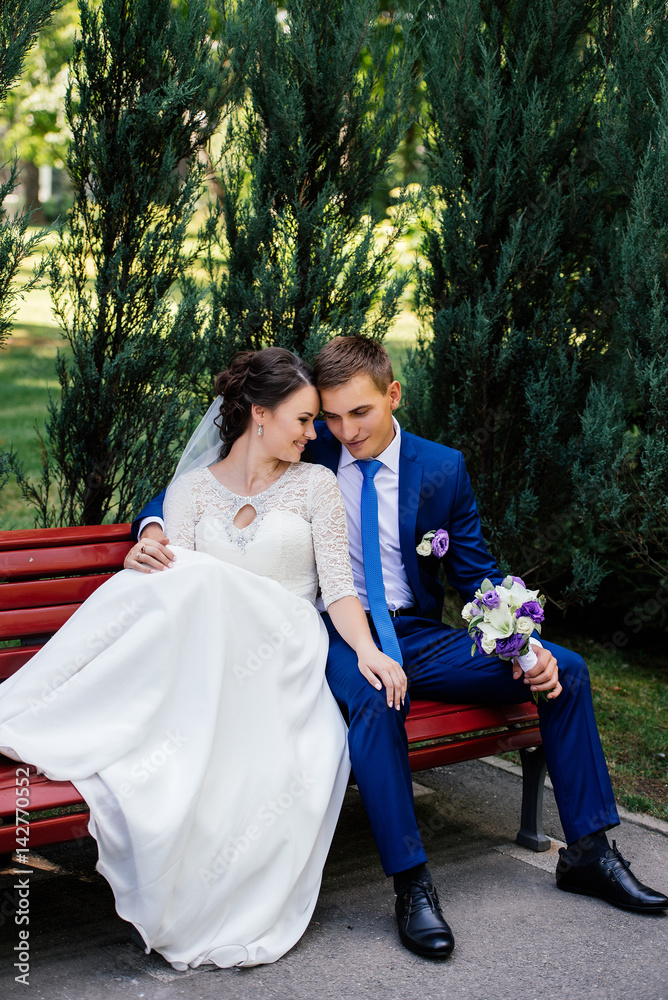 The bride and groom sit on a bench. The groom hugs the bride The bride and groom sit on a bench. The groom hugs the bride