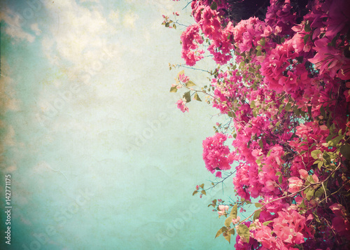 Vintage paper postcard - beautiful tree flower in summer. vintage color tone style. © jakkapan