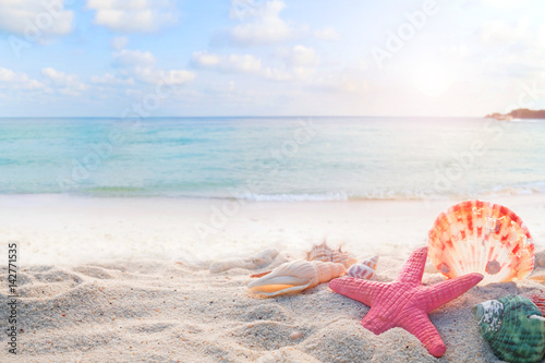 Concept of summertime on tropical beach. Seaside summer beach with starfish  shells  coral on sandbar and blur sea background. vintage color tone.