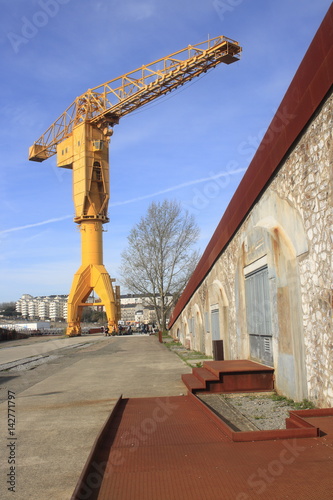 Grue jaune de Nantes