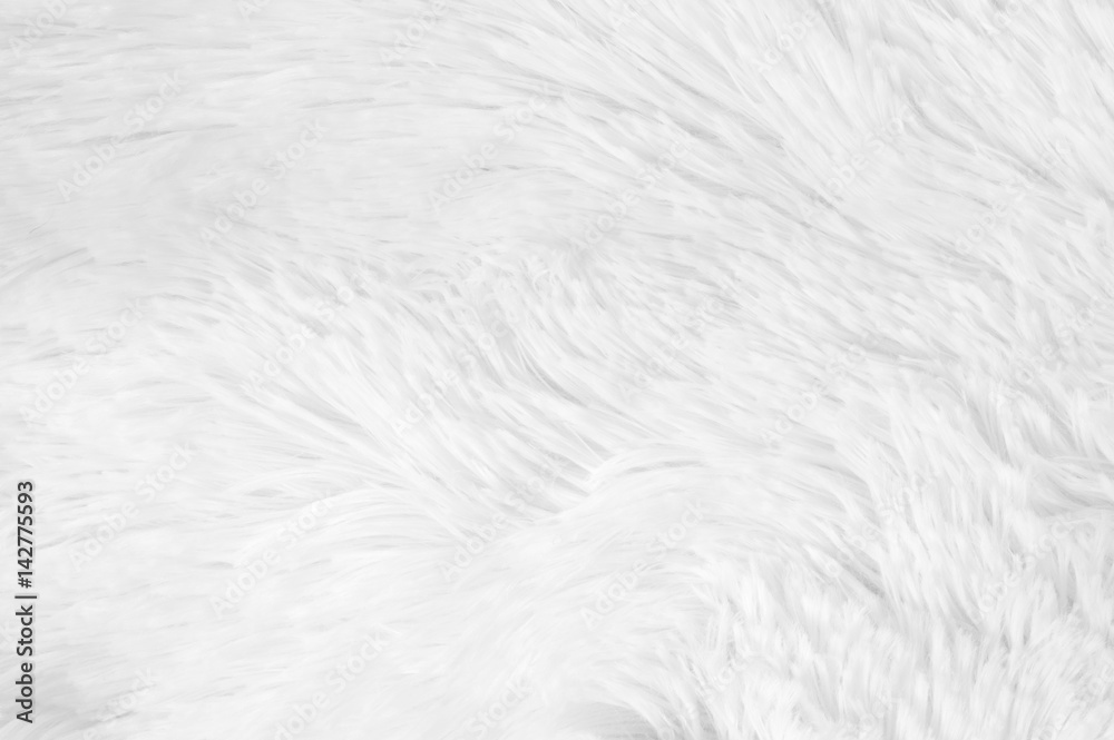 Shaggy fur texture Shaggy fur texture