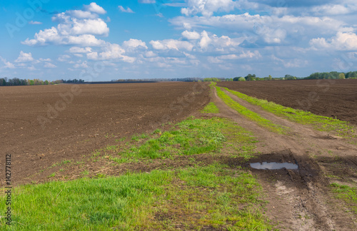 Spring landscape with an earth road between agricultural field in Poltavskaya oblast, Ukraine