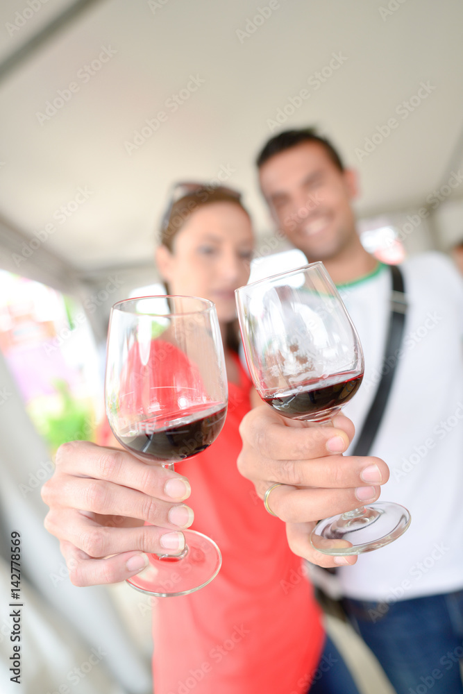 Couple toasting their successful relationship Couple toasting their successful relationship