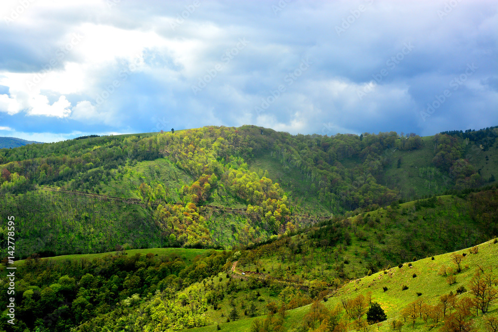 Obraz premium Mountain landscape of meadows