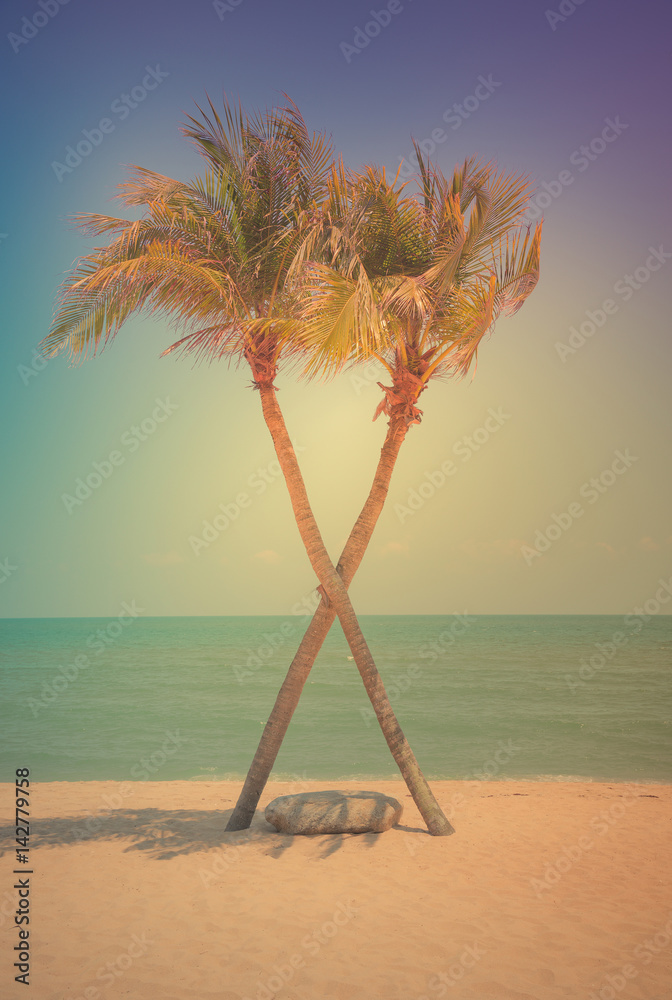 Fototapeta premium Two coconut palm tree cross on the tropical beach at daytime. Vintage tone