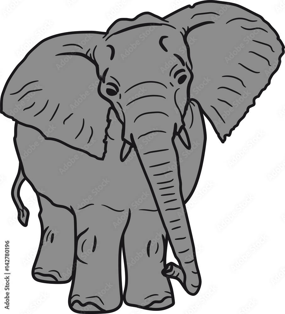 elefant süß niedlich groß gesicht gemalt