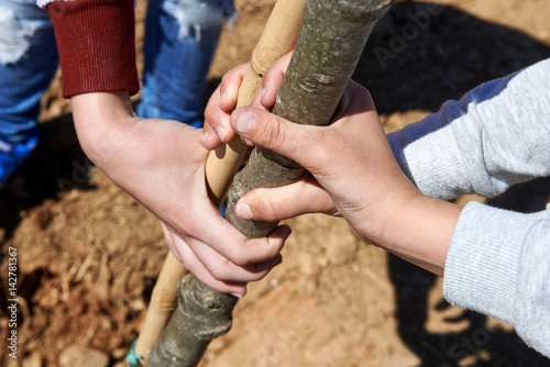 Children holding a bole during tree planting.