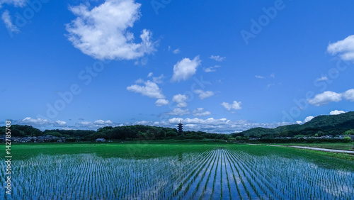 日本・岡山県・総社市・備中国分寺・五重塔・青空