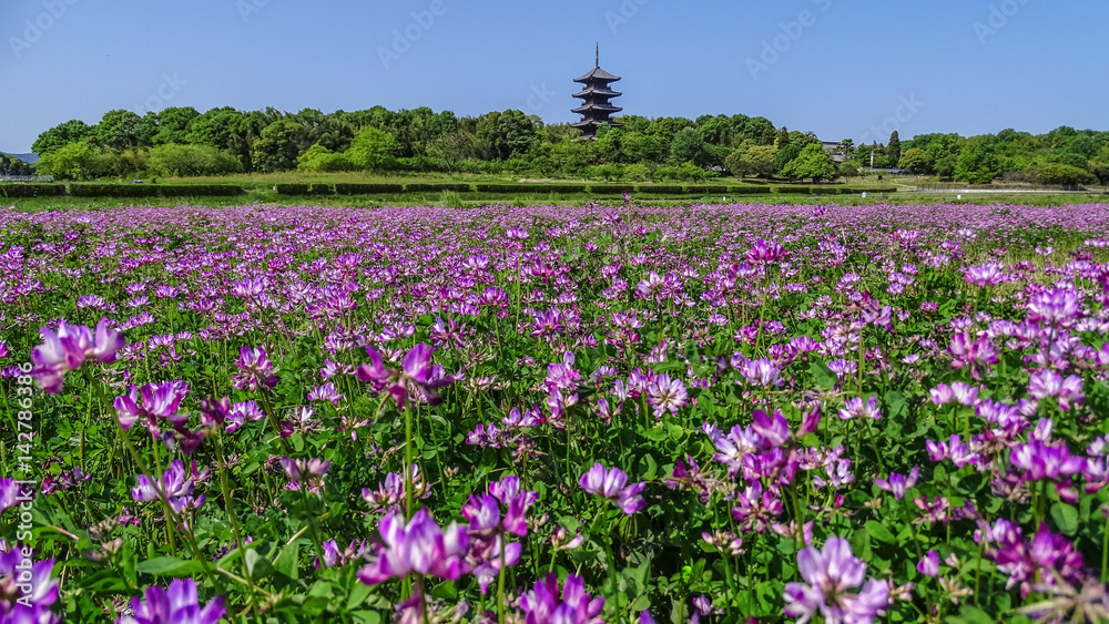 日本・岡山県・総社市・備中国分寺・五重塔