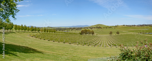 Yarra Valley vineyard