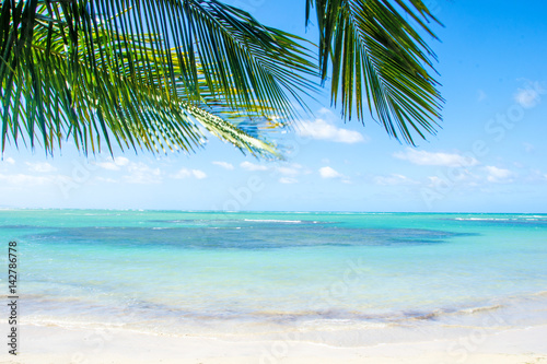 Fototapeta Naklejka Na Ścianę i Meble -  Glück, Freude, Ruhe, Auszeit, Meditation: Traumurlaub an einem einsamen Strand in der Karibik :)