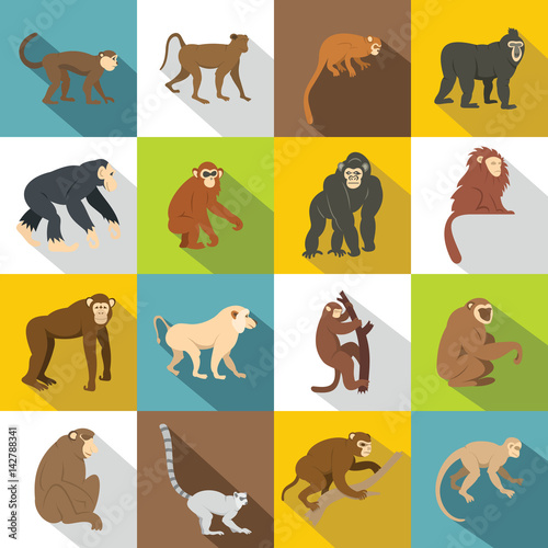 Monkey types icons set  flat style