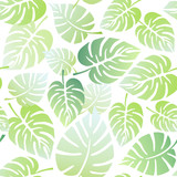 Exotic tropical green plant leaves. Stylized monstera leaves. Seamless floral pattern on white background