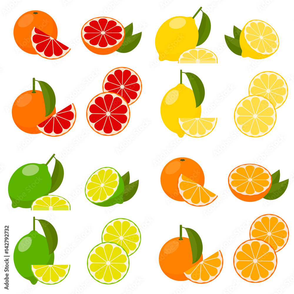 icon set with vector citrus. icon set with vector citrus.