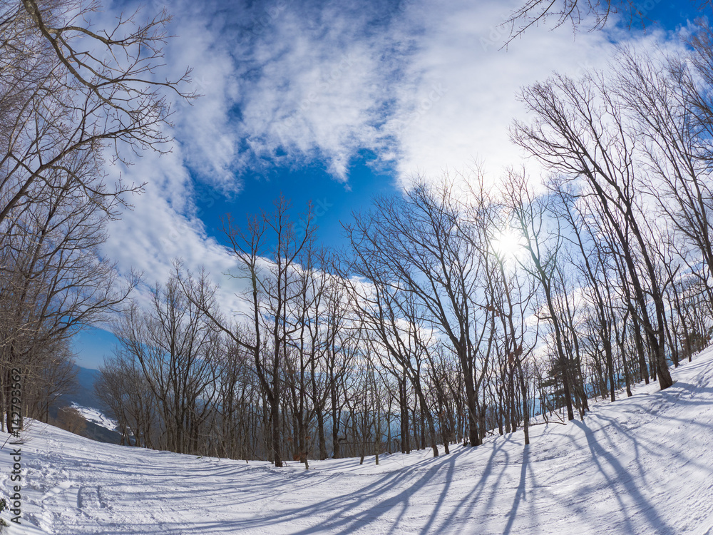 Obraz premium 冬の山