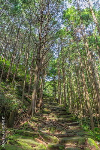 松本峠 熊野古道